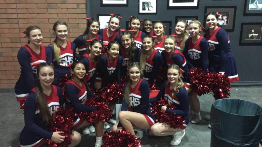 Cheer Team Competes at State Level