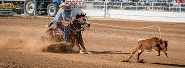 La Fiesta De Los Vaqueros Schedule