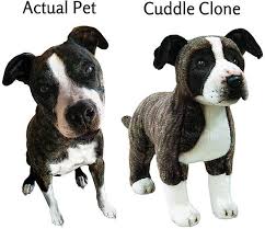 Cuddle Clones - Plush Versions of Your Pet