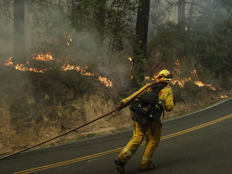 Napa Valley to Ashes, Cali to Dust