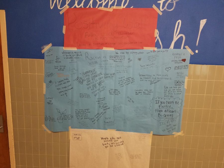 Sahuaro's Positivity Wall