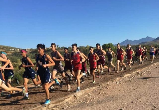 Cross Country: Sprinting to Success