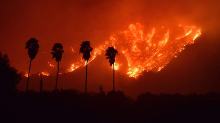 The Thomas Fire in Southern California - You Can Help