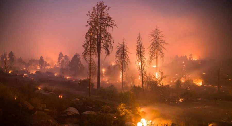 CALIFORNIA FIRES

Deaths: 91
Damage: 230,000+ acres
Date: November 8- November 25th
