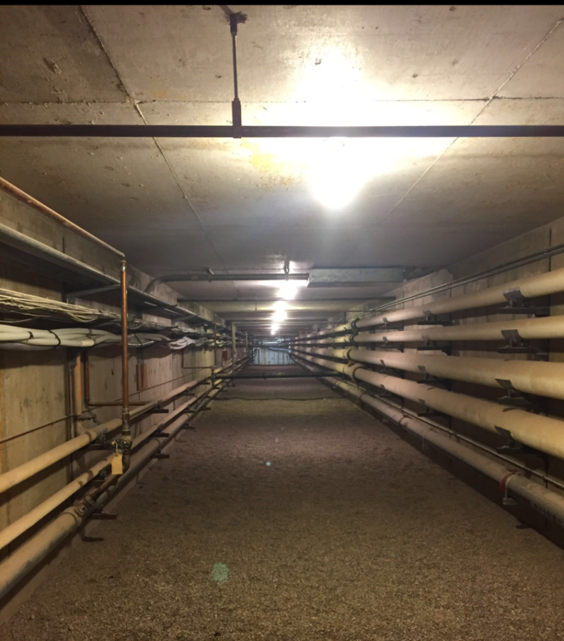 Sahuaro's Underground Bomb Shelter