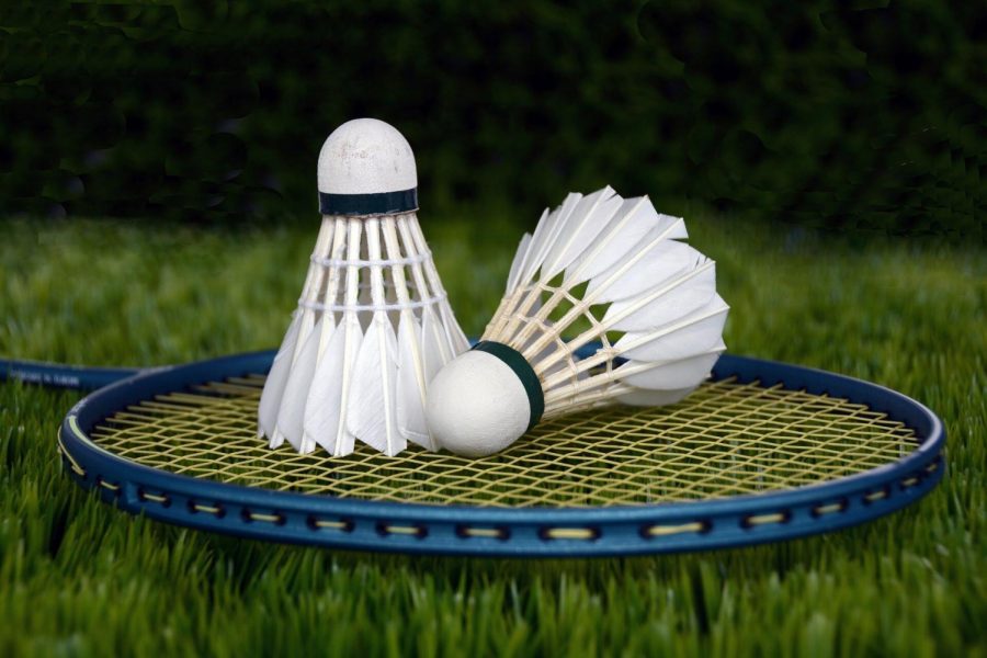 Badminton Online?