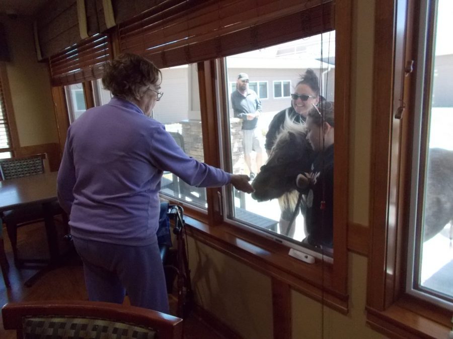 An 11-year old girl from Nebraska has been cheering up her local nursing home residents with her very own friend- Peanut the Pony! Jorja Boller has been a volunteer at her local nursing home, the Good Samaritan Society, for 5 years now and decided to bring Peanut along the way.