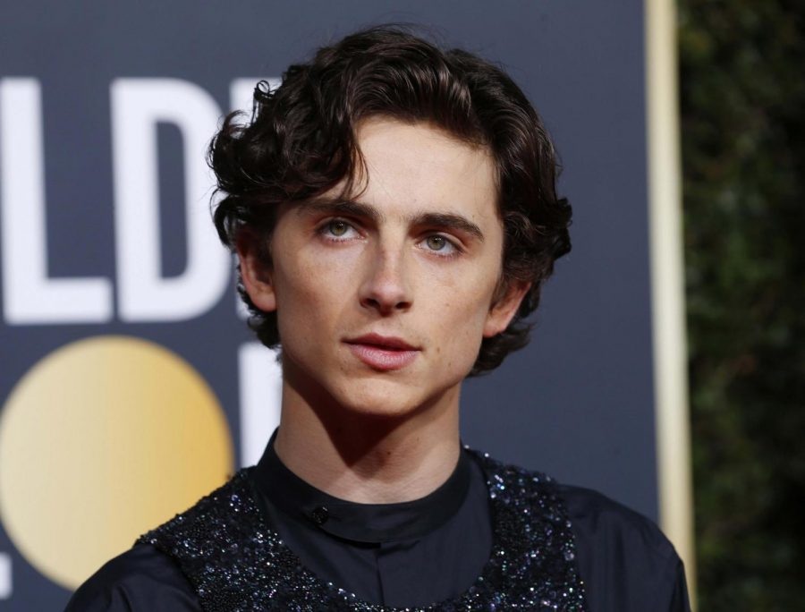 Quickly becoming the nation's heartthrob after his Academy Award nominated role in "Call Me By Your Name", Timothée Chalamet has not only cemented his place in Hollywood, but also in our hearts.