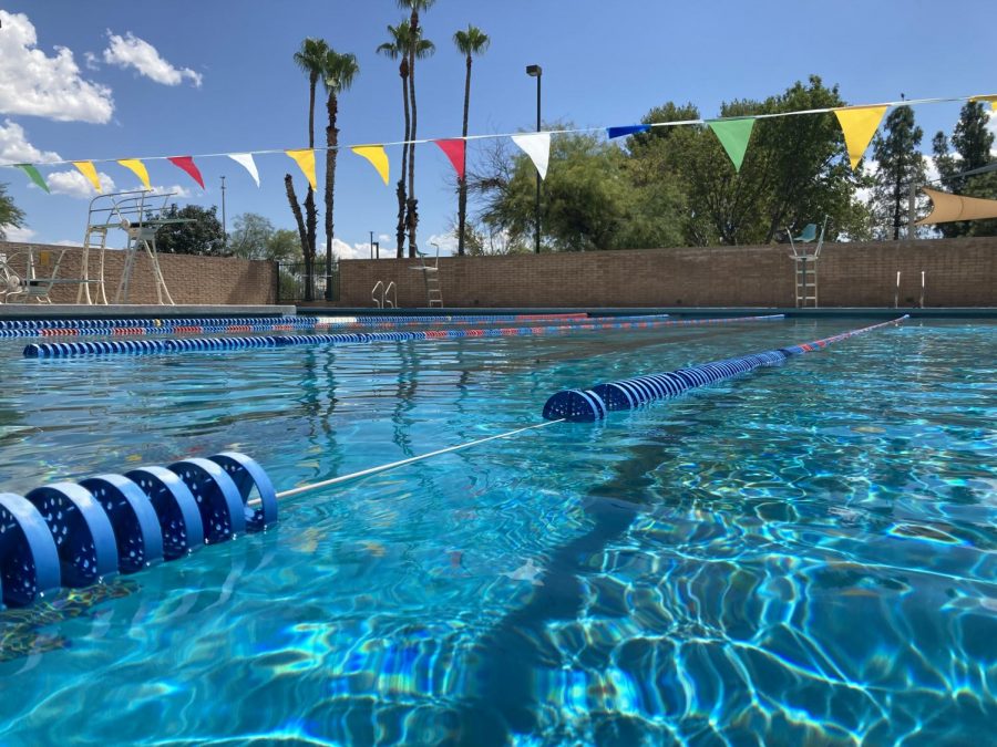 Sahuaro's Swim Team Ready To Dive Into Action