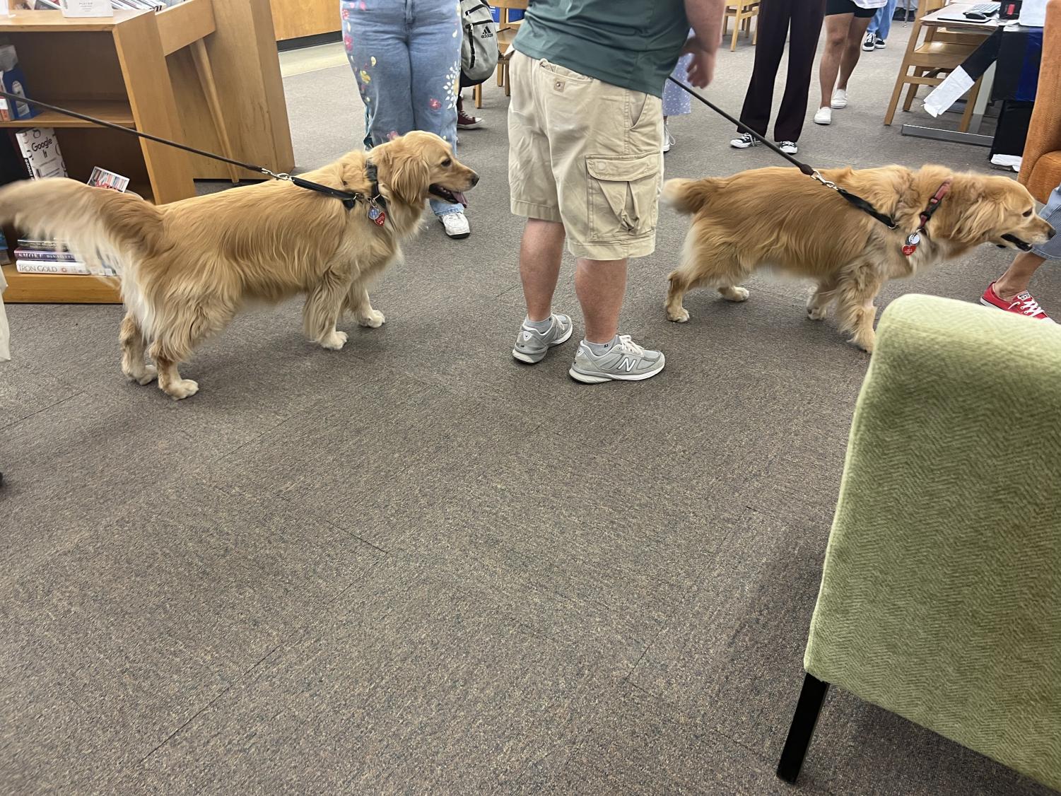 Sahuaro Participates in Mental Health Awarness Month with Puppies