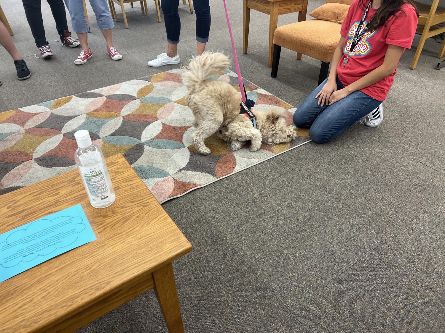 Sahuaro Participates in Mental Health Awarness Month with Puppies