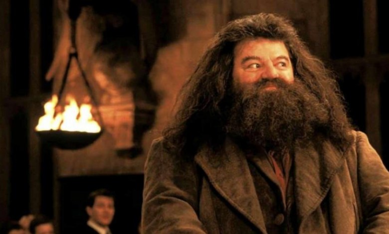 Harry Potter Star, Robbie Coltrane, Dead at 72