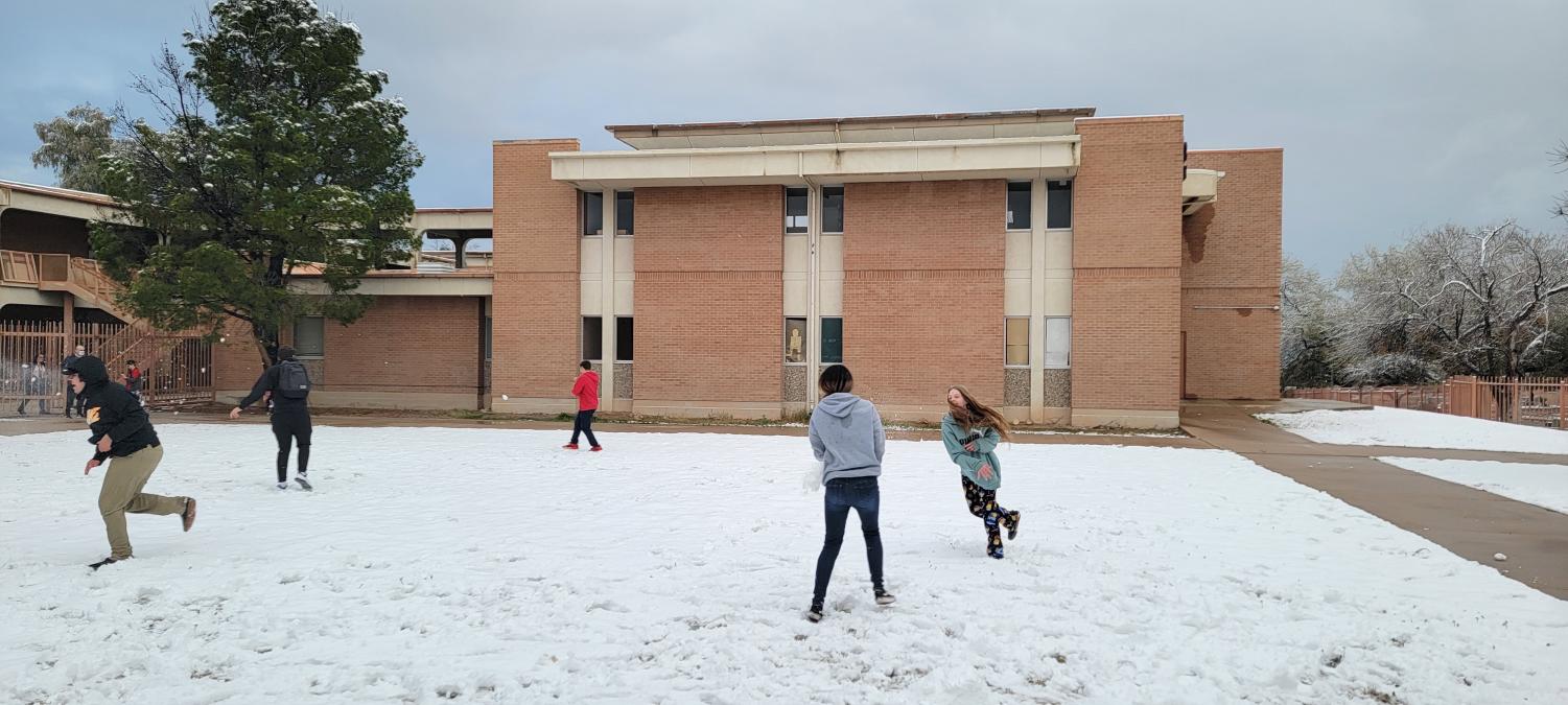 A Snowy Surprise for Sahuaro Students and Staff