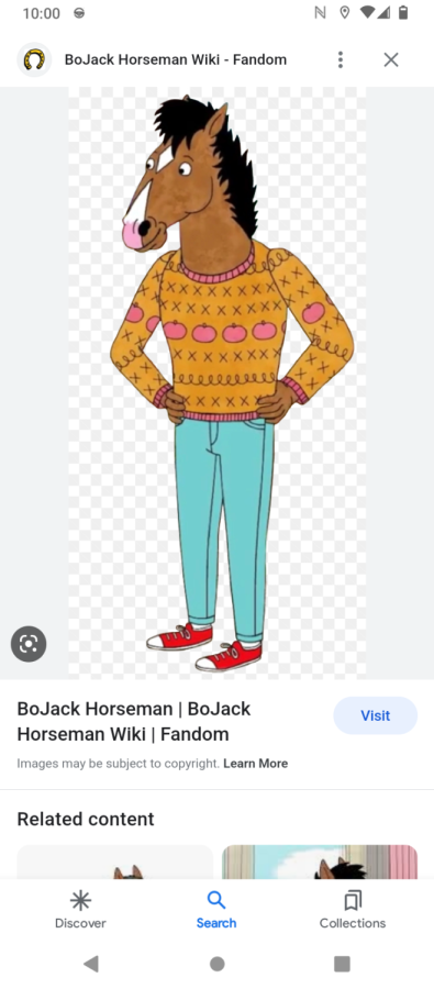 Bojack Horseman: My Review