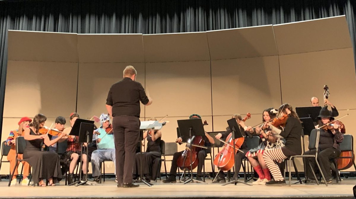 Sahuaro's Chamber Orchestra