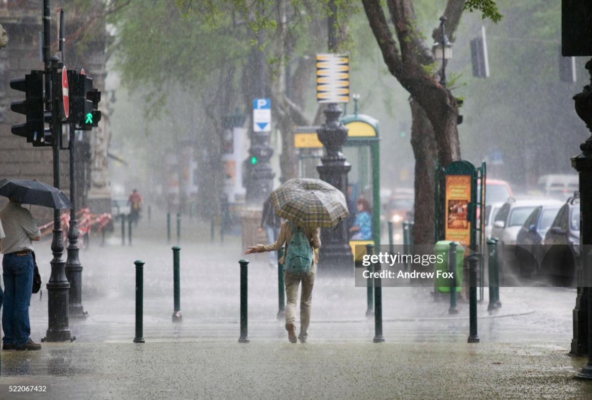 Raining Cats and Dogs