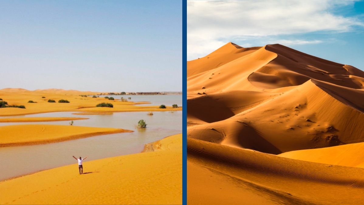 Unexpected Flooding in the Sahara Desert