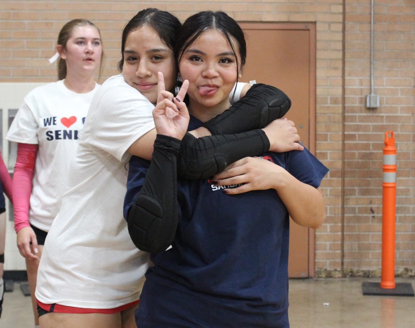 Girl's Volleyball Senior Night