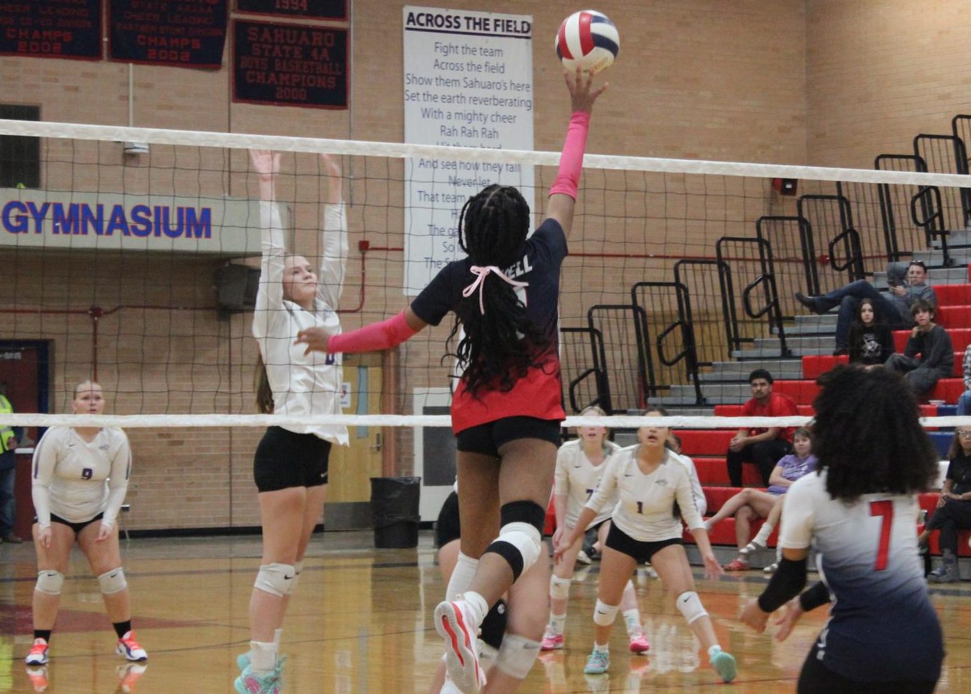 Girl's Volleyball Senior Night