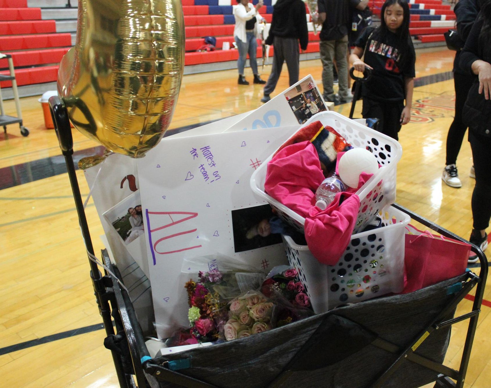 Girl's Volleyball Senior Night