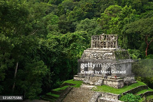 Mayan Temple at Palenque, Mexico. Palenque. Not the newly uncovered city but this structures resembles it.