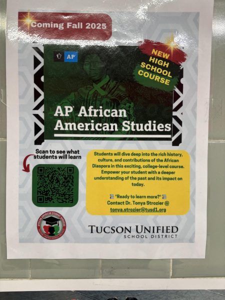 AP African American Studies poster