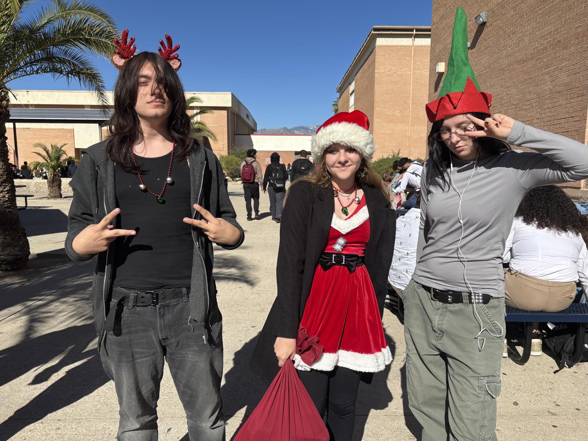 Christmas Spirit Courses Through Sahuaro