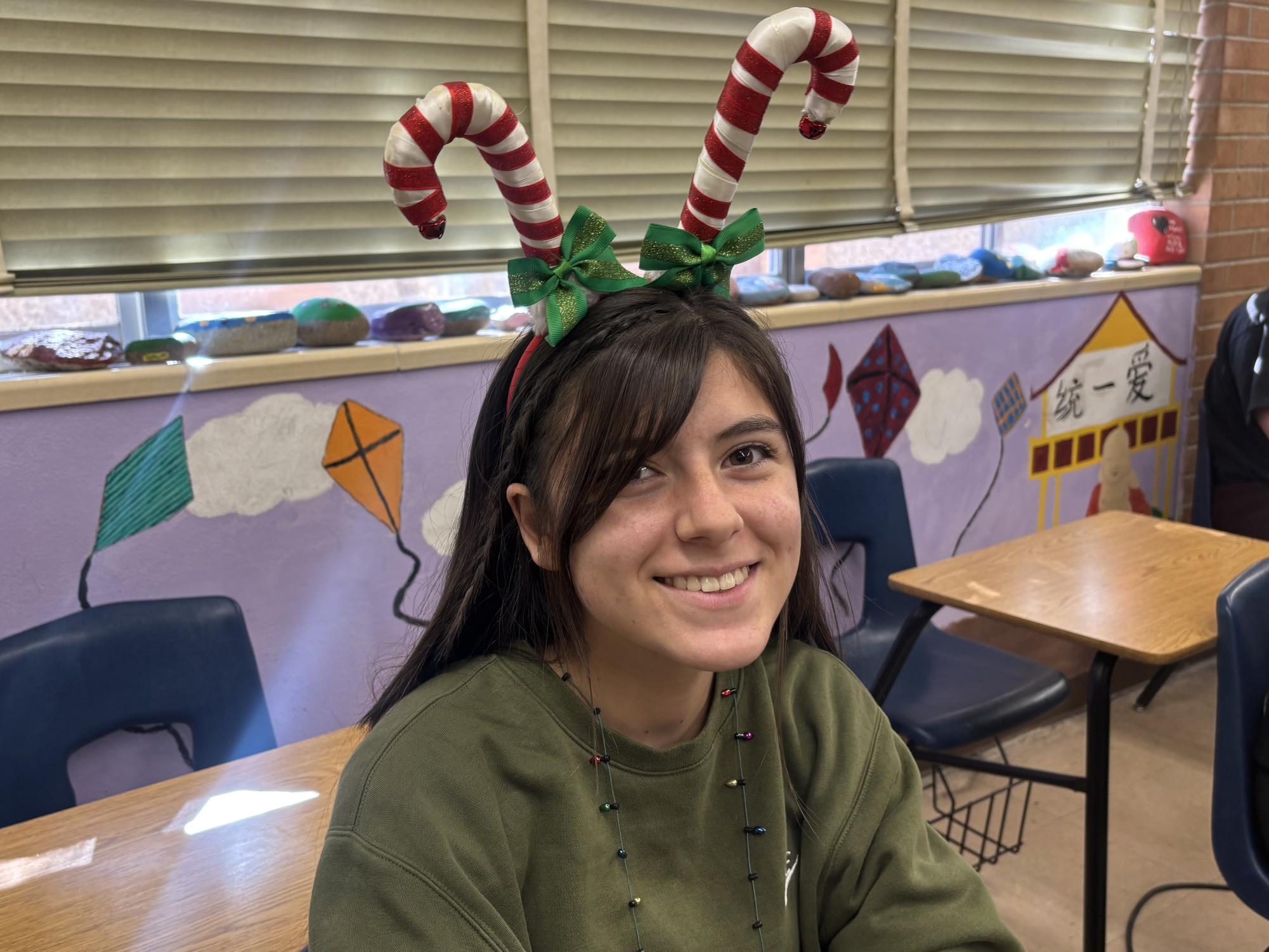 Christmas Spirit Courses Through Sahuaro