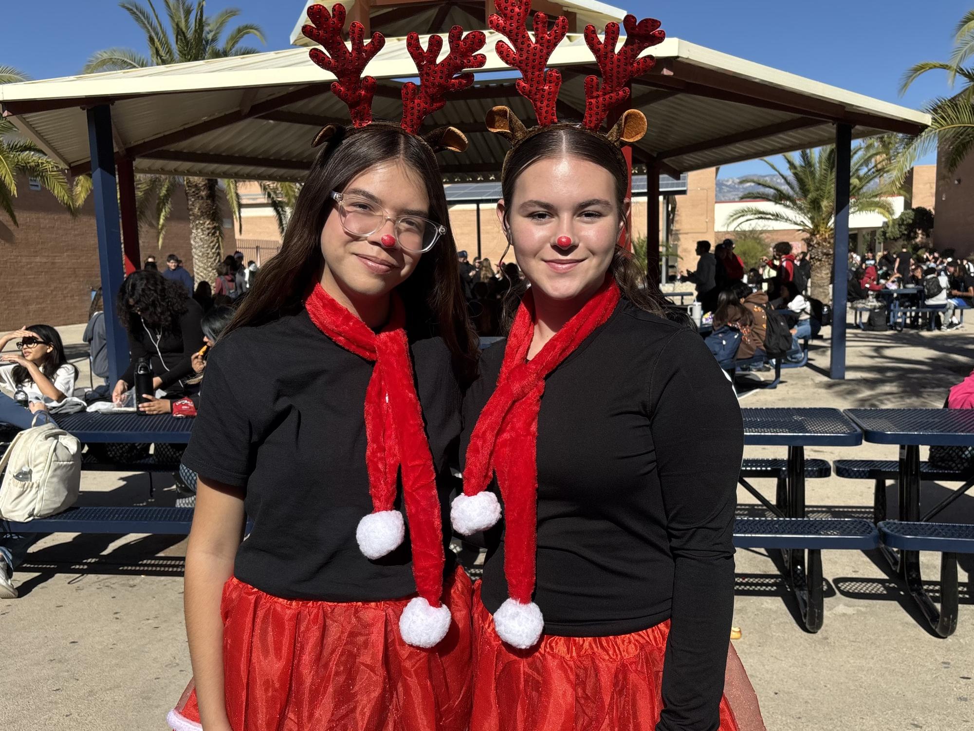 Christmas Spirit Courses Through Sahuaro