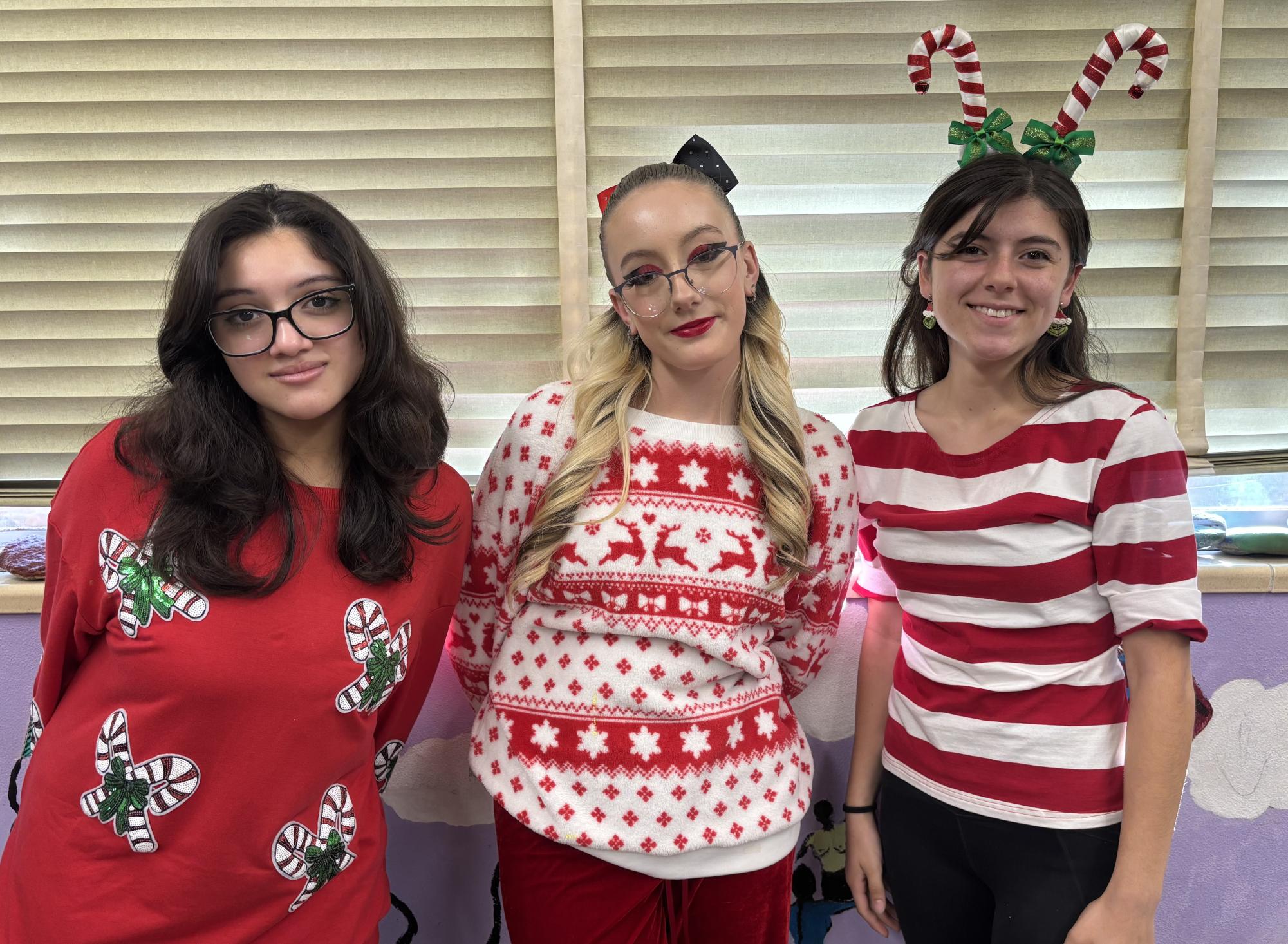 Christmas Spirit Courses Through Sahuaro