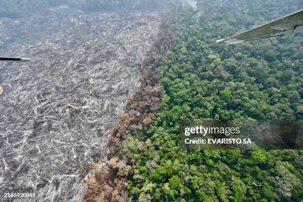 Combatting Against Deforestion of the Amazon Rainforest