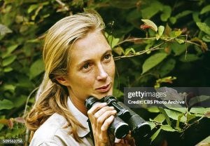 Jane Goodall Passes At 91 Years Old