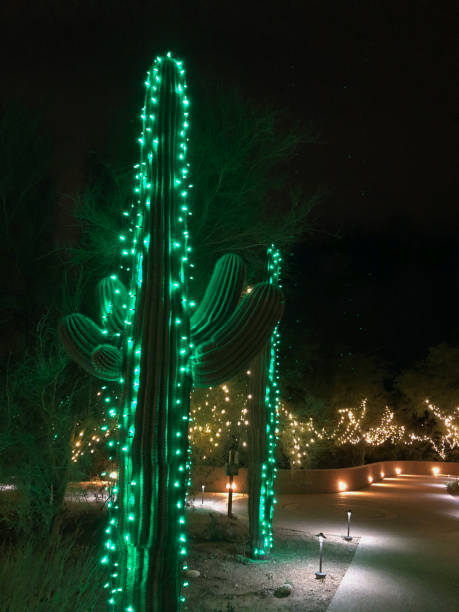 Top Things to Do in Tucson for Christmas