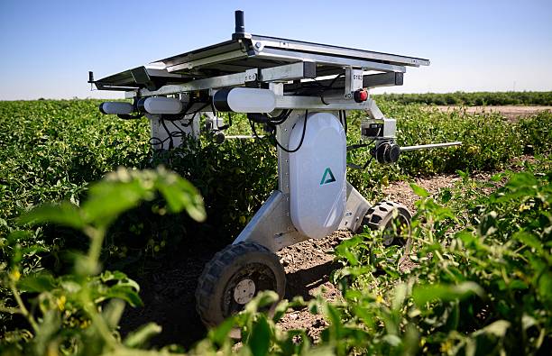 Top Ten Innovations of 2025