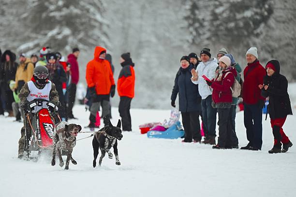 Dog Sledding Begins Along the Iditarod Trail