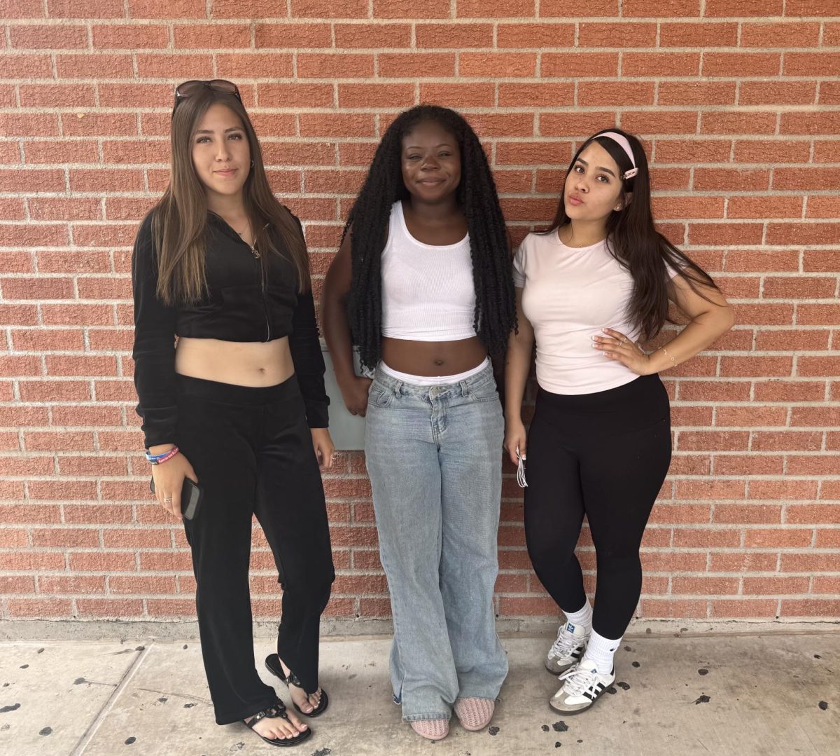 Meet the Candidates: Junior Class President Election